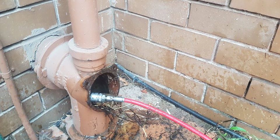 Blocked Sewer Essendon | Flushable Wipes | Finlay Plumbing